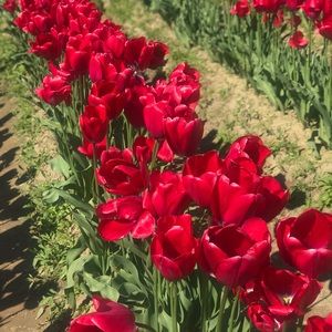 New items coming soon